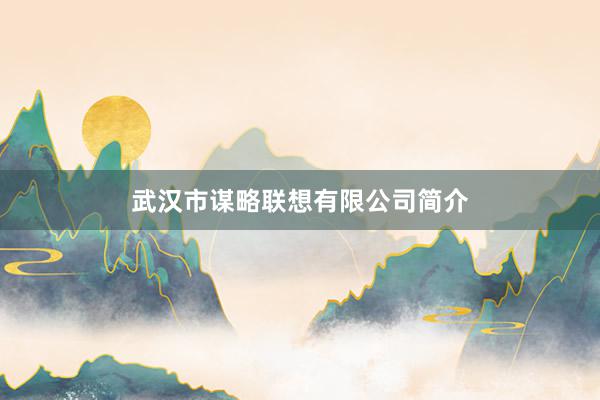 武汉市谋略联想有限公司简介