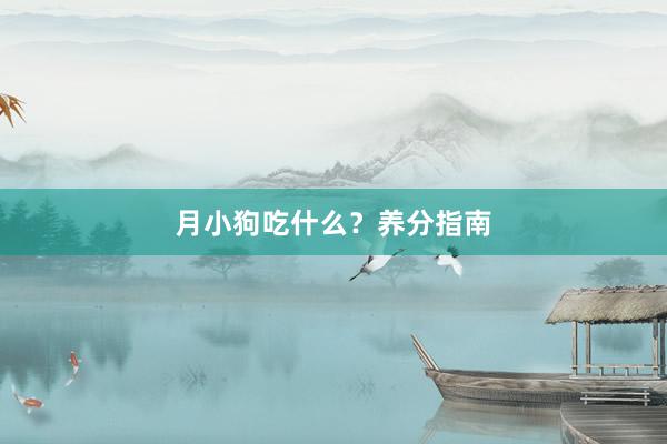 月小狗吃什么？养分指南
