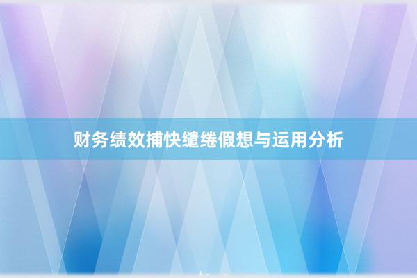 财务绩效捕快缱绻假想与运用分析